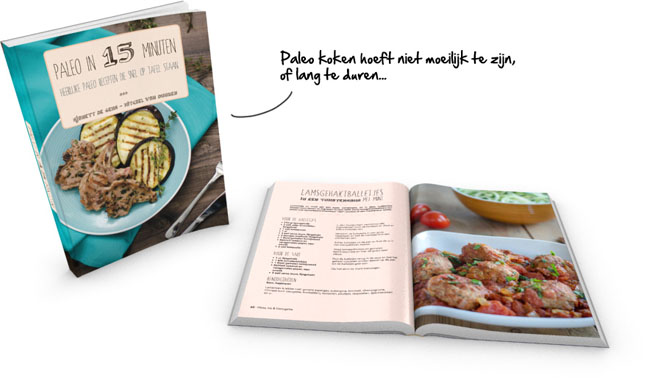 Paleo 15 minuten recepten kookboek